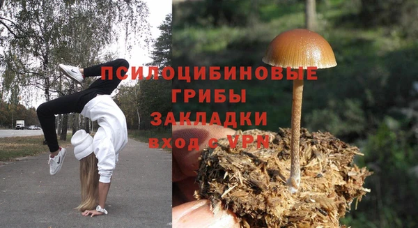 соль курить ск Алзамай