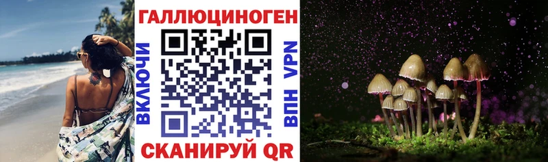даркнет Telegram  Салаир  Псилоцибиновые грибы мухоморы 